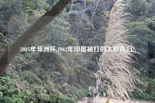 2015年非洲杯,1962年印度被打的大败而归?
