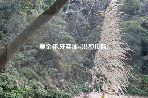 美金杯,牙买加vs洪都拉斯?