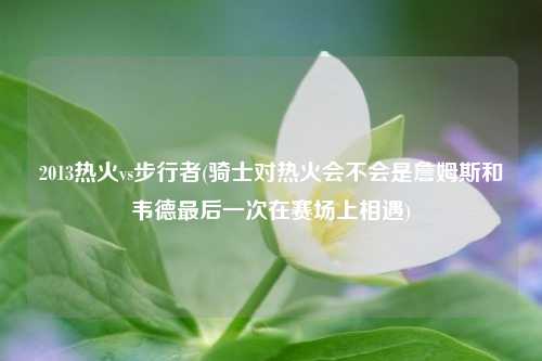 2013热火vs步行者(骑士对热火会不会是詹姆斯和韦德最后一次在赛场上相遇)