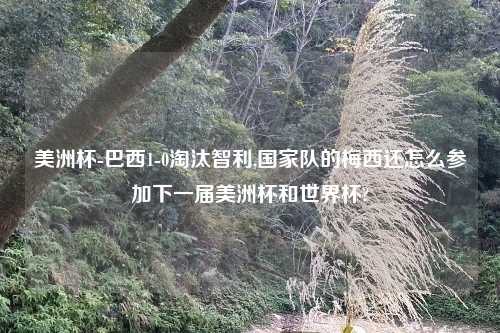 美洲杯-巴西1-0淘汰智利,国家队的梅西还怎么参加下一届美洲杯和世界杯?