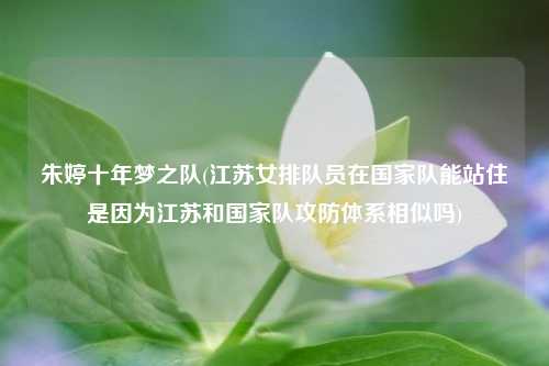 朱婷十年梦之队(江苏女排队员在国家队能站住是因为江苏和国家队攻防体系相似吗)