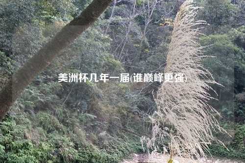 美洲杯几年一届(谁巅峰更强)