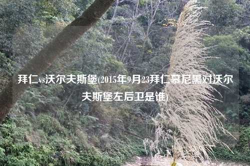 拜仁vs沃尔夫斯堡(2015年9月23拜仁慕尼黑对沃尔夫斯堡左后卫是谁)