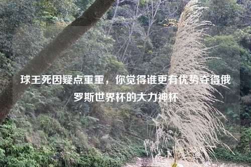 球王死因疑点重重，你觉得谁更有优势夺得俄罗斯世界杯的大力神杯