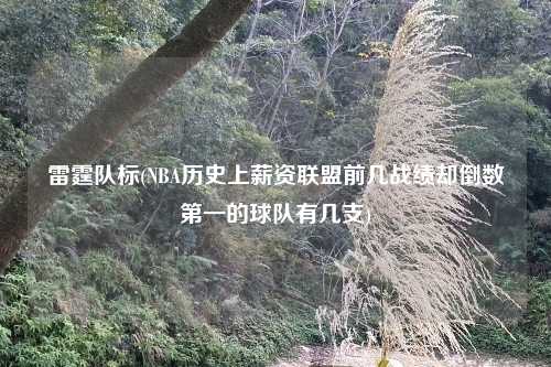 雷霆队标(NBA历史上薪资联盟前几战绩却倒数第一的球队有几支)