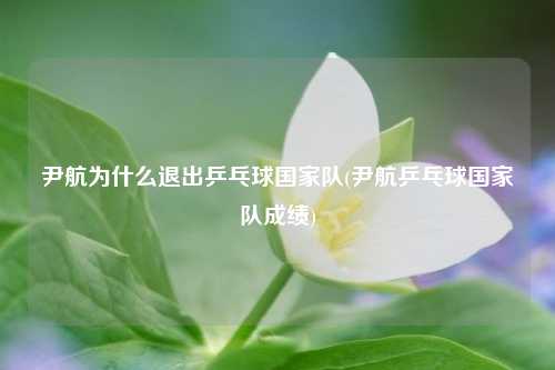 尹航为什么退出乒乓球国家队(尹航乒乓球国家队成绩)