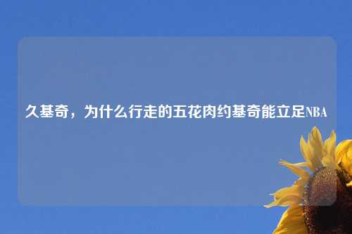 久基奇，为什么行走的五花肉约基奇能立足NBA