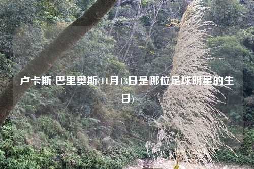 卢卡斯 巴里奥斯(11月13日是哪位足球明星的生日)
