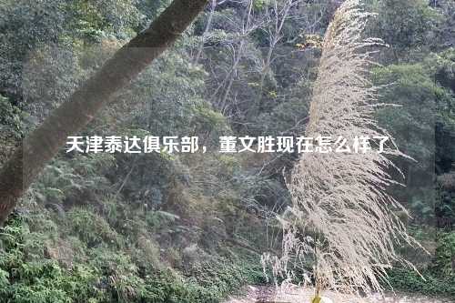 天津泰达俱乐部，董文胜现在怎么样了