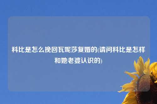 科比是怎么挽回瓦妮莎复婚的(请问科比是怎样和她老婆认识的)