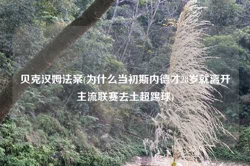贝克汉姆法案(为什么当初斯内德才28岁就离开主流联赛去土超踢球)