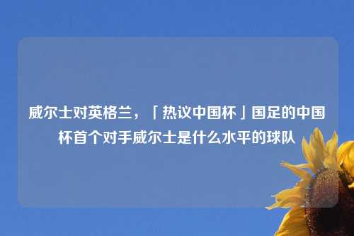 威尔士对英格兰，「热议中国杯」国足的中国杯首个对手威尔士是什么水平的球队