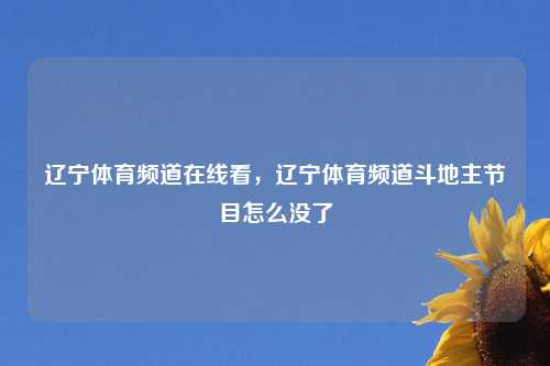 辽宁体育频道在线看，辽宁体育频道斗地主节目怎么没了