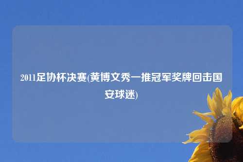 2011足协杯决赛(黄博文秀一推冠军奖牌回击国安球迷)