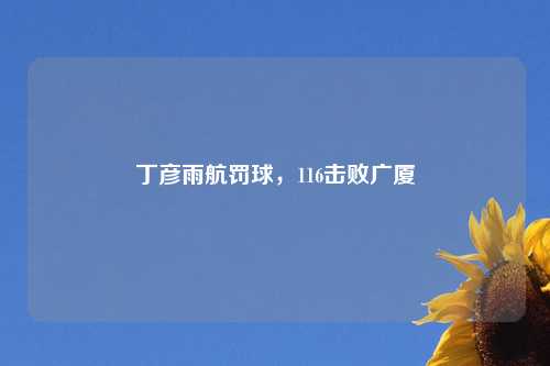 丁彦雨航罚球，116击败广厦