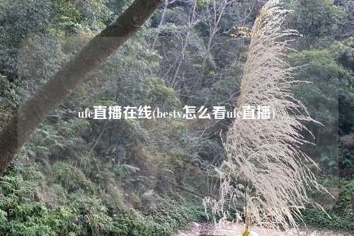 ufc直播在线(bestv怎么看ufc直播)