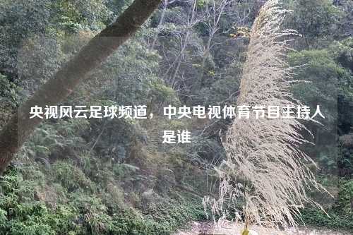 央视风云足球频道，中央电视体育节目主持人是谁
