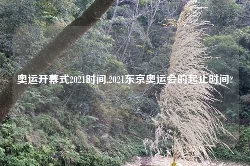 奥运开幕式2021时间,2021东京奥运会的起止时间?