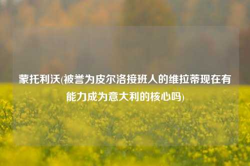 蒙托利沃(被誉为皮尔洛接班人的维拉蒂现在有能力成为意大利的核心吗)