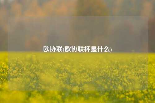 欧协联(欧协联杯是什么)
