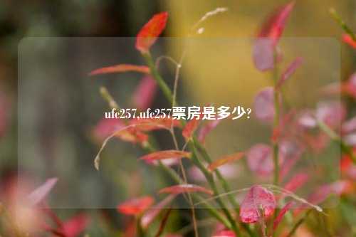ufc257,ufc257票房是多少?