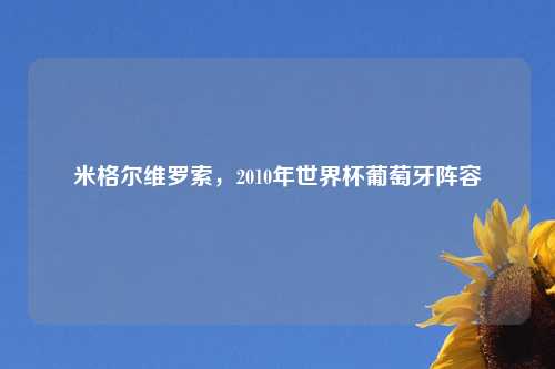 米格尔维罗索，2010年世界杯葡萄牙阵容