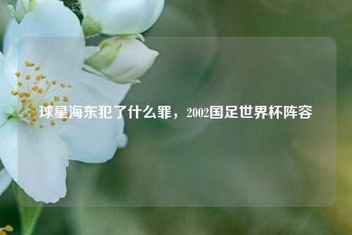 球星海东犯了什么罪，2002国足世界杯阵容