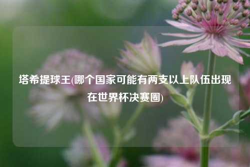 塔希提球王(哪个国家可能有两支以上队伍出现在世界杯决赛圈)