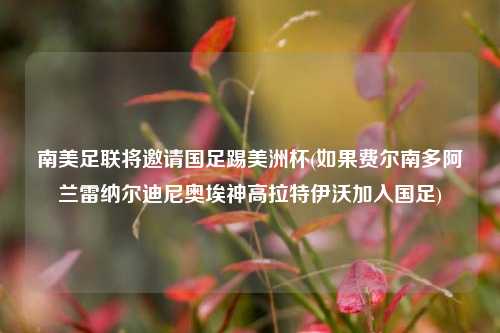 南美足联将邀请国足踢美洲杯(如果费尔南多阿兰雷纳尔迪尼奥埃神高拉特伊沃加入国足)