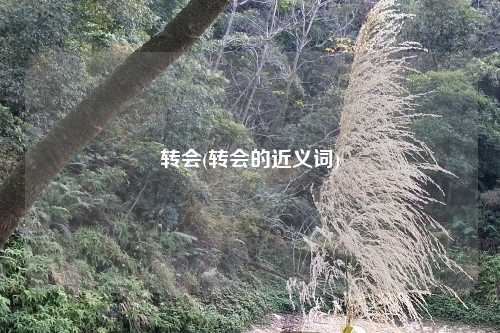 转会(转会的近义词)