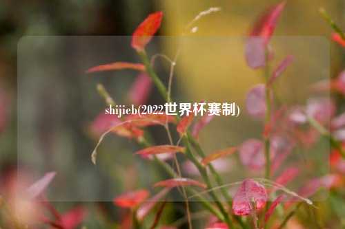 shijieb(2022世界杯赛制)