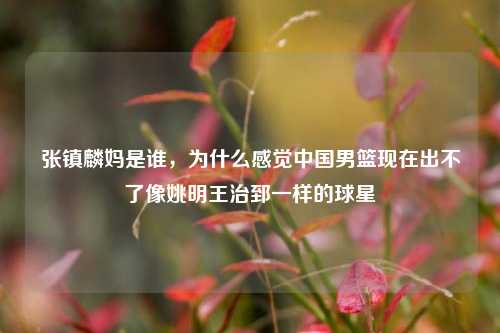 张镇麟妈是谁，为什么感觉中国男篮现在出不了像姚明王治郅一样的球星