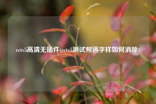 cctv5高清无插件(cctv5测试频道字样如何消除)