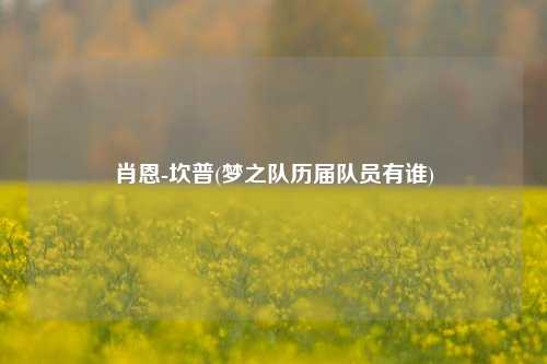 肖恩-坎普(梦之队历届队员有谁)