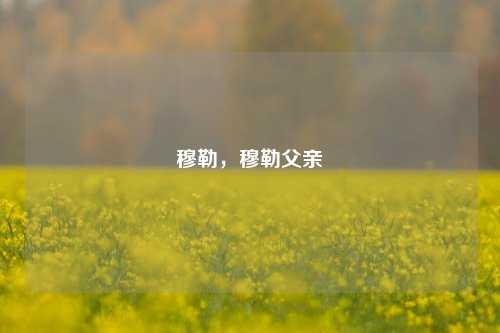 穆勒，穆勒父亲