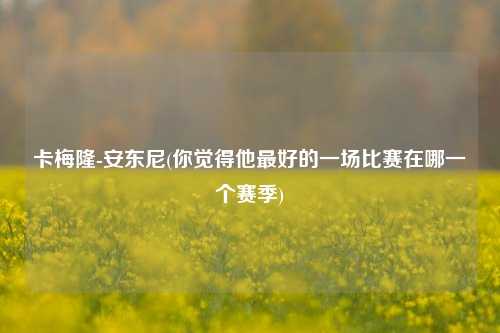 卡梅隆-安东尼(你觉得他最好的一场比赛在哪一个赛季)