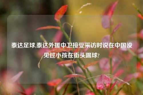 泰达足球,泰达外援中卫接受采访时说在中国没见过小孩在街头踢球?
