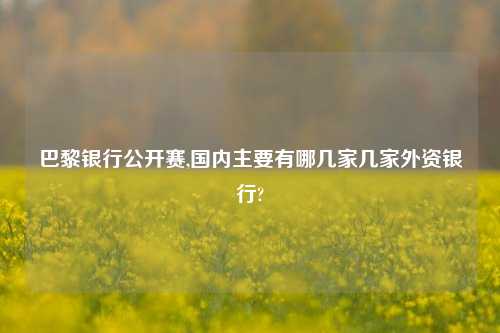 巴黎银行公开赛,国内主要有哪几家几家外资银行?