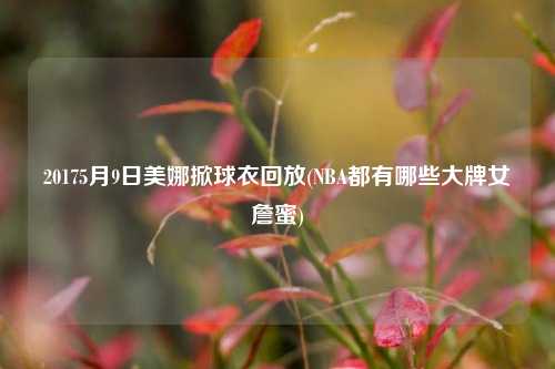 20175月9日美娜掀球衣回放(NBA都有哪些大牌女詹蜜)