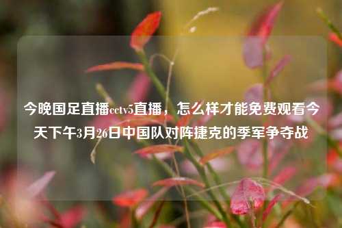 今晚国足直播cctv5直播，怎么样才能免费观看今天下午3月26日中国队对阵捷克的季军争夺战