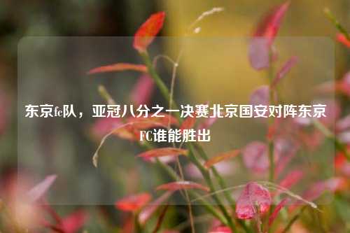 东京fc队，亚冠八分之一决赛北京国安对阵东京FC谁能胜出