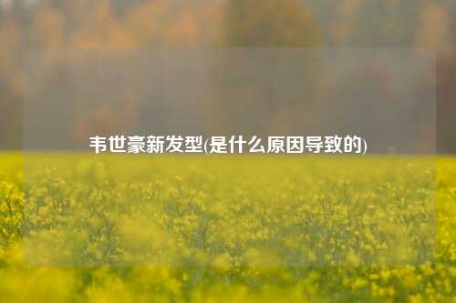 韦世豪新发型(是什么原因导致的)