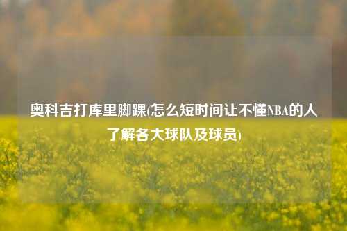 奥科吉打库里脚踝(怎么短时间让不懂NBA的人了解各大球队及球员)