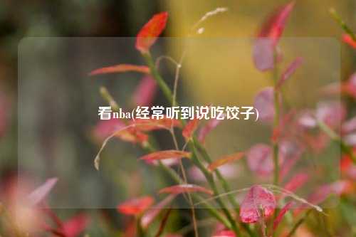看nba(经常听到说吃饺子)