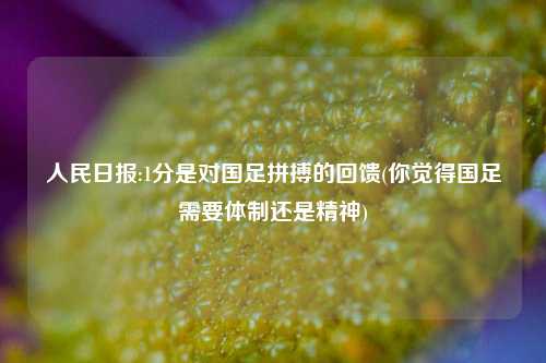 人民日报:1分是对国足拼搏的回馈(你觉得国足需要体制还是精神)