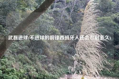 武磊进球(不进球的前锋西班牙人还会忍耐多久)