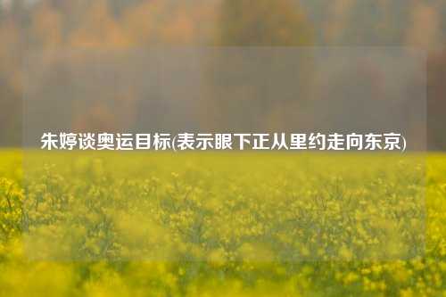 朱婷谈奥运目标(表示眼下正从里约走向东京)