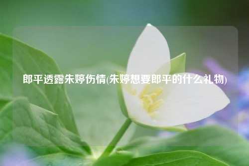 郎平透露朱婷伤情(朱婷想要郎平的什么礼物)