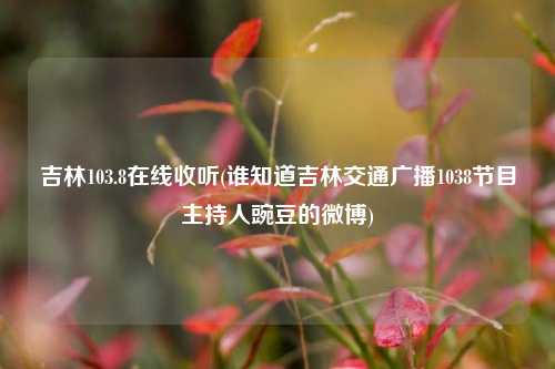 吉林103.8在线收听(谁知道吉林交通广播1038节目主持人豌豆的微博)