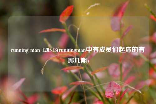 running man 120513(runningman中有成员们起床的有哪几期)